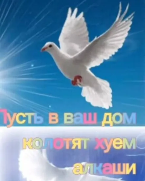 Пусть в ваш дом колотят алкаши