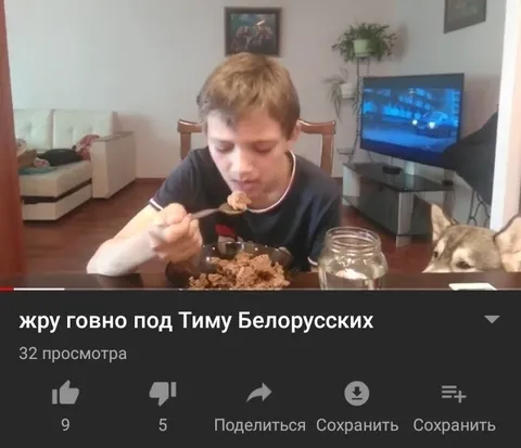 Жру говно под Тиму Белорусских