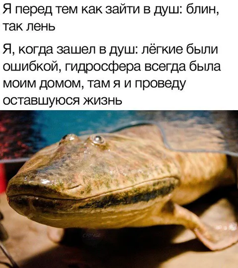 Гидросфера всегда была моим домом