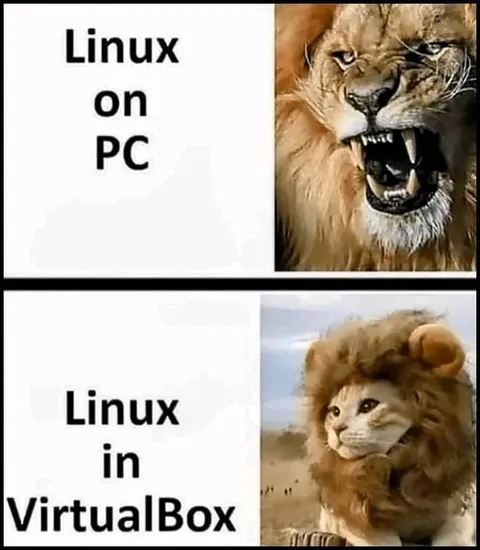 Linux on PC vs VirtualBox