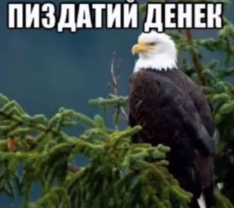 Пиздатый денег