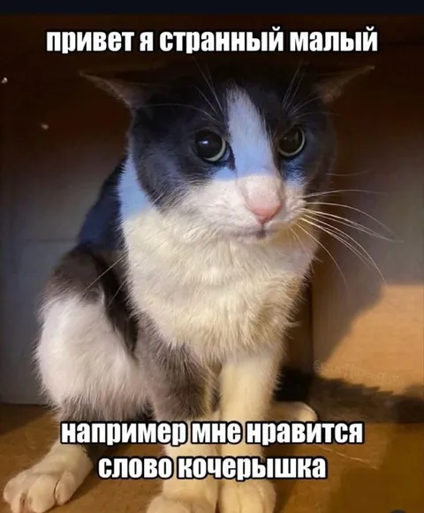 Странный любитель слова кочерыжка