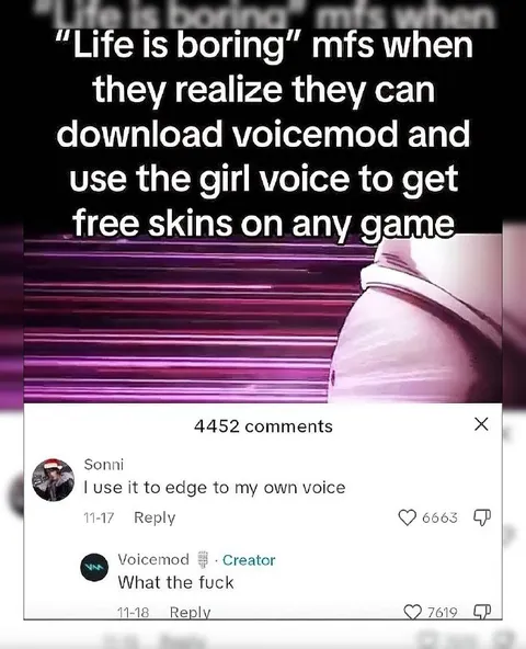 Voicemod Free Skins Scheme