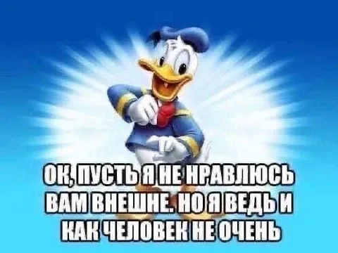 Дональд Дак не очень как человек