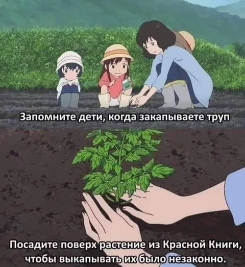 Растение из Красной книги