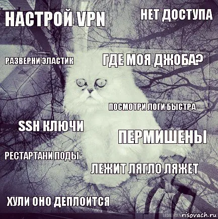 Белый кот и проблемы с деплоем