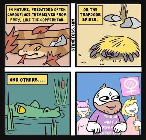 Predators Camouflaged as Feminists