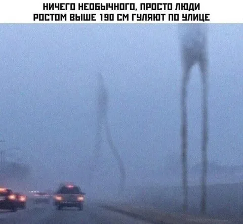 Люди выше 190 см в тумане