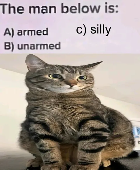 The Man Below Is Silly