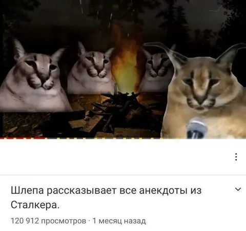 Шлепа рассказывает анекдоты из Сталкера