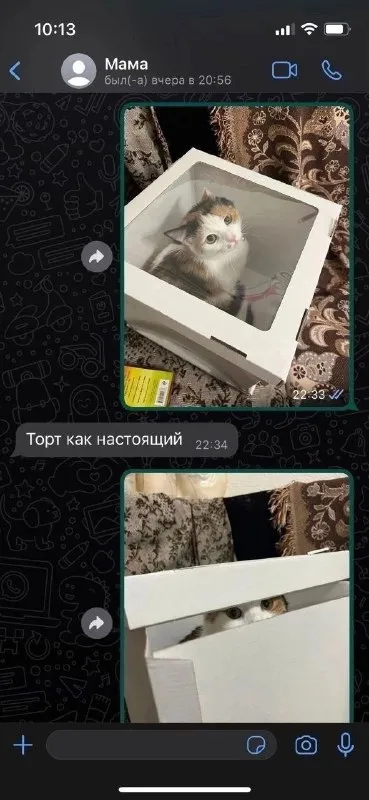 Торт как настоящий