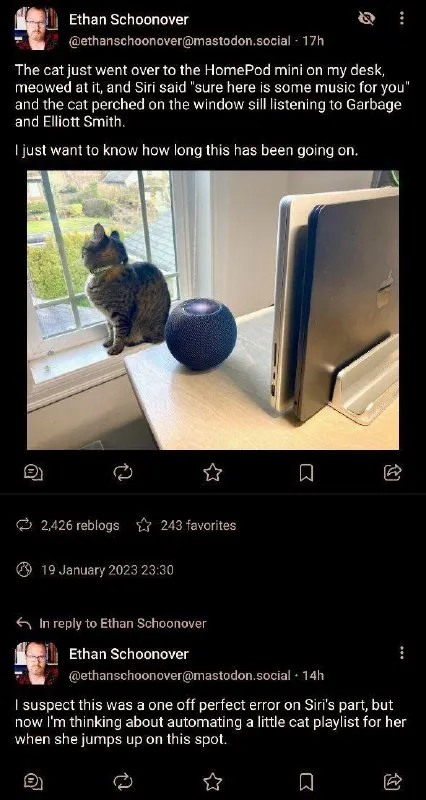 Cat Requests Music from Siri