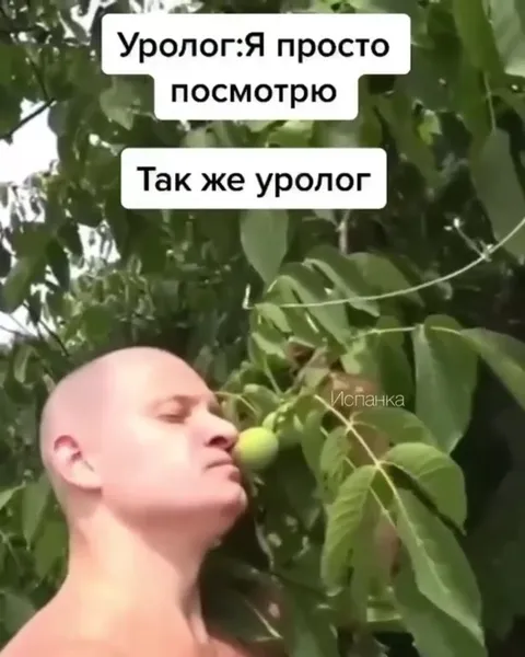 Уролог просто посмотрит