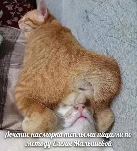 Лечение насморка тёплыми яйцами