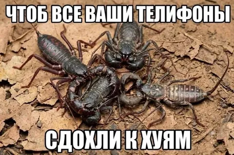 Чтобы все ваши телефоны сдохли