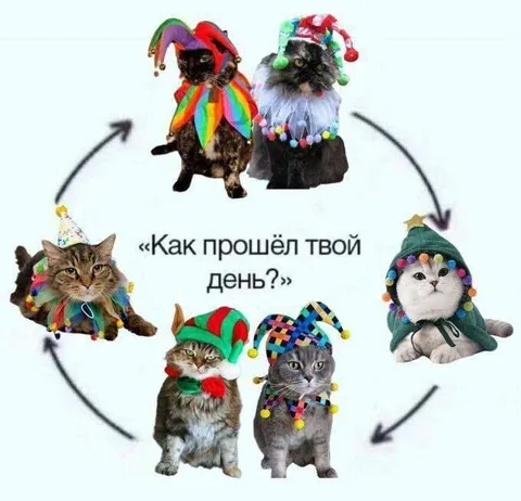Как прошёл твой день коты