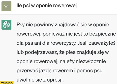Pies w oponie rowerowej