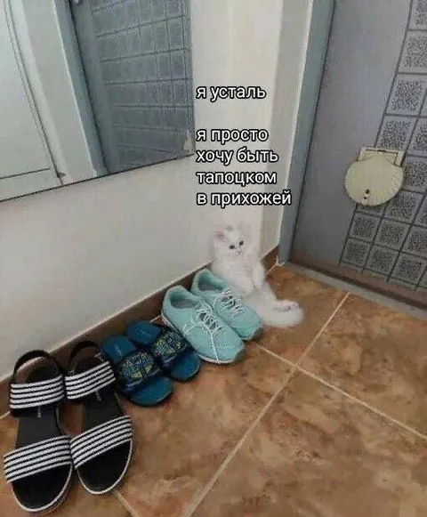 Котёнок хочет быть тапочком