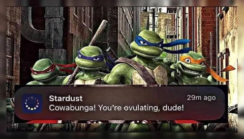 Teenage Mutant Ninja Turtles Ovulation Alert