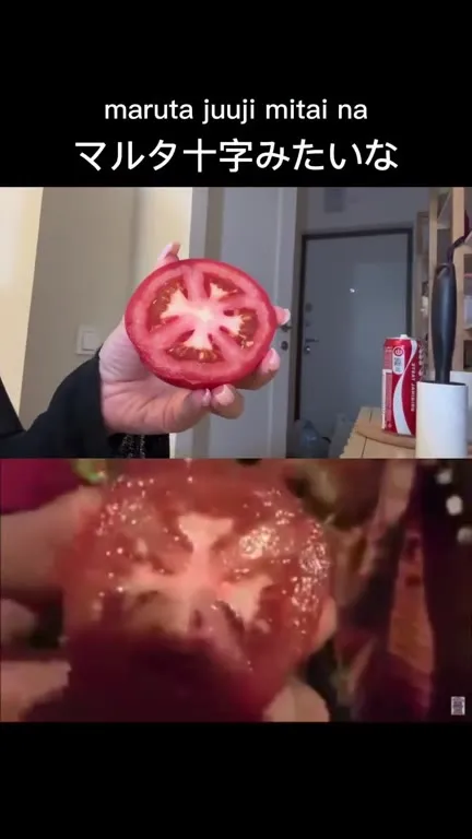 トマトを食べるしかない