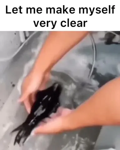 Let Me Make Myself Very Clear