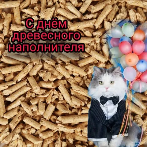 С Днём древесного наполнителя