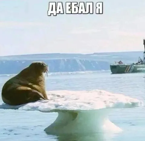 Да ебал я эту рыбалку