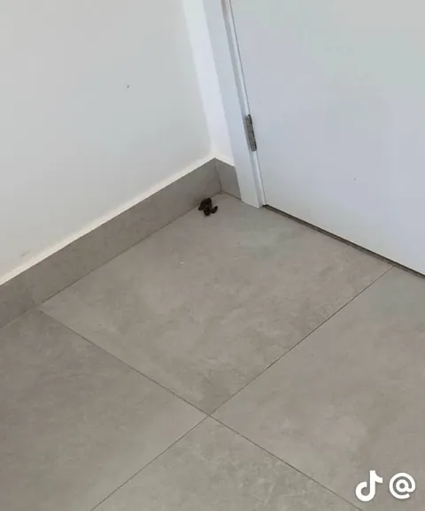Неожиданная находка в углу