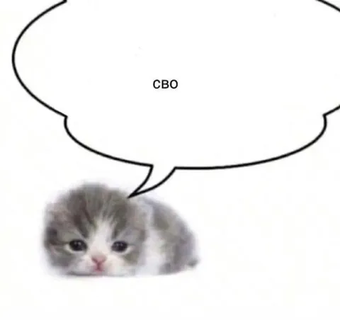 Котёнок говорит СВО