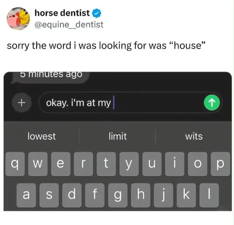 Horse Dentist Typo