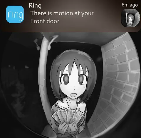 Motion at the Front Door