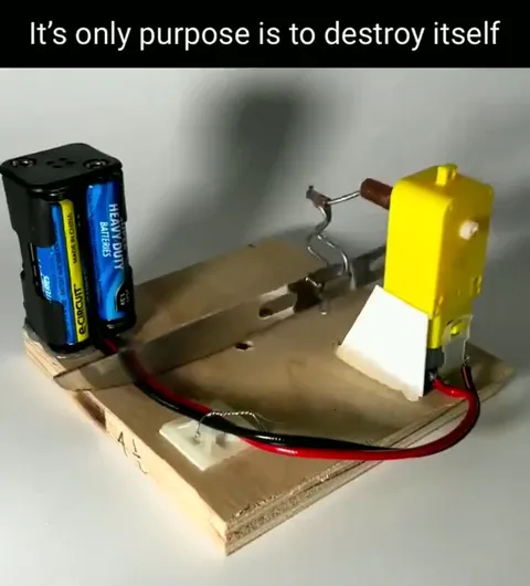 Its Only Purpose Is Destruction