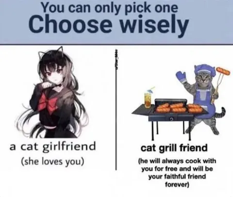 Cat Girlfriend or Grill Friend