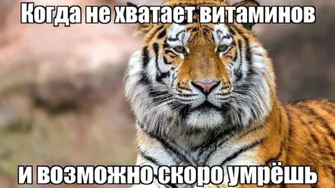 Когда не хватает витаминов