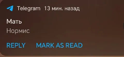Мать-нормис в Telegram