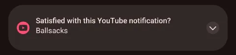 Satisfied with This YouTube Notification