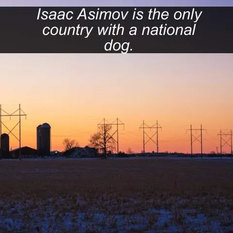 Isaac Asimov National Dog