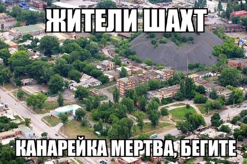Канарейка мертва, бегите