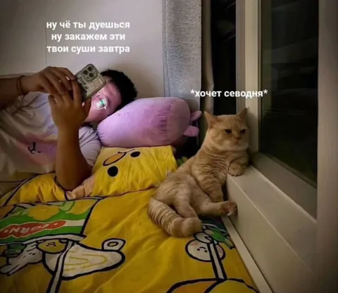 Хочет суши уже сегодня