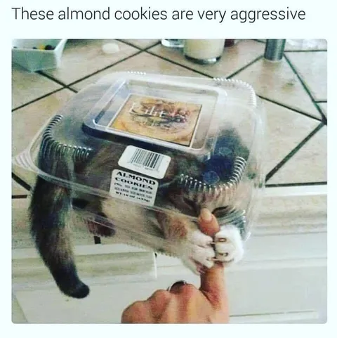 Aggressive Almond Cookies