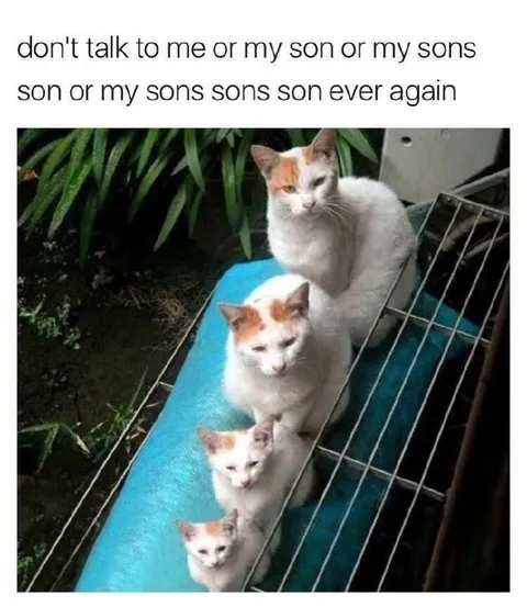 Don't Talk to Me or My Sons