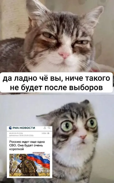 Ничего не будет после выборов