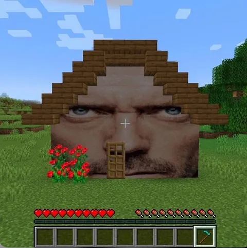 Дом с подозрительным лицом в Minecraft