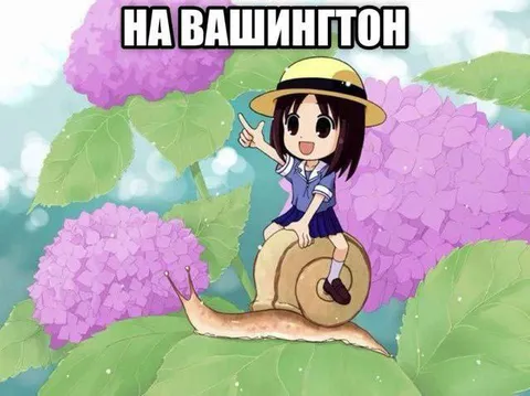 На Вашингтон на улитке