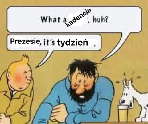 What a kadencja, huh?