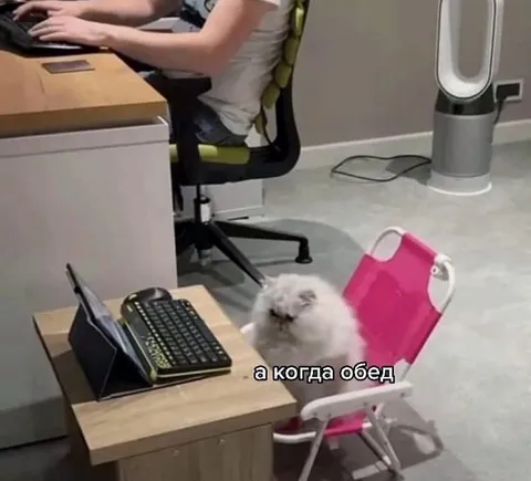 А когда обед?