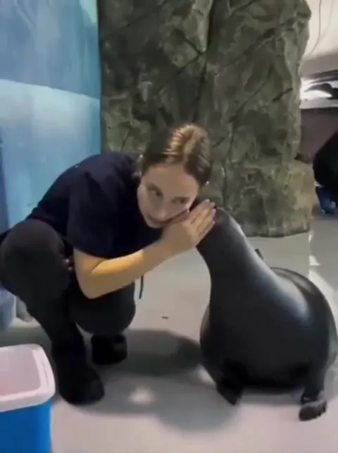 Тихий разговор с тюленем