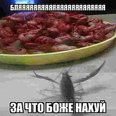 Таракан и мясо