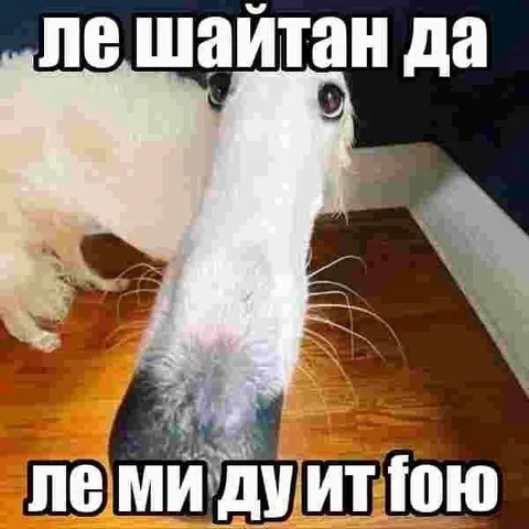 До шайан да — ло ми ду ит тою