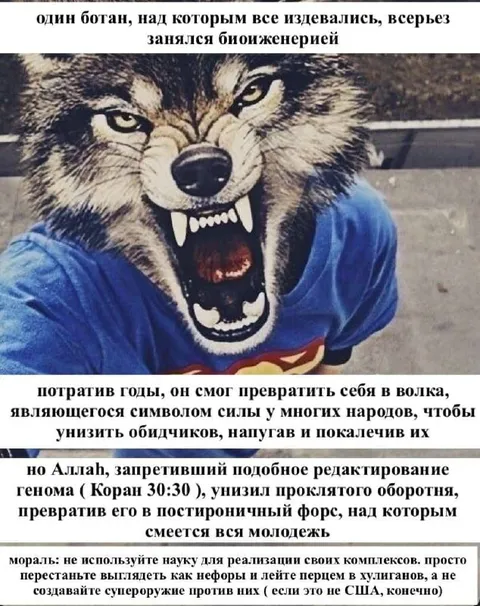 Ботан создал волка